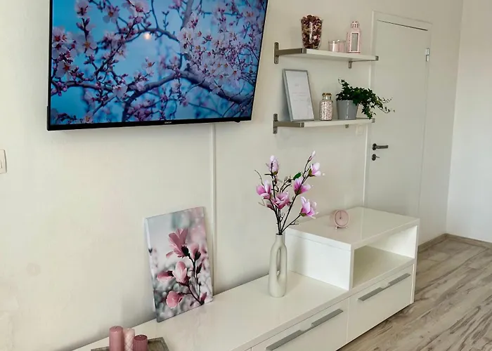 Magnolia * Bratysława